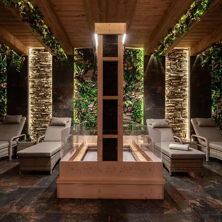 Wellness & Ex Korona Tatr 3* 扎科帕内