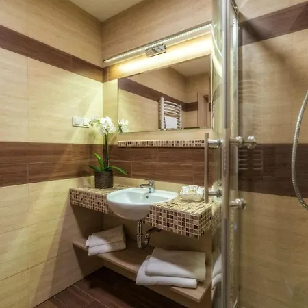 Wellness & Ex Korona Tatr 酒店 扎科帕内