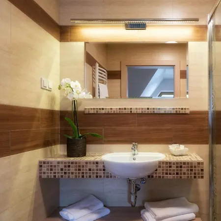 酒店 Wellness & Ex Korona Tatr